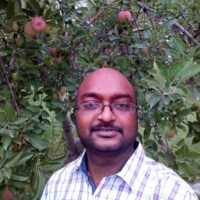 Raju A.